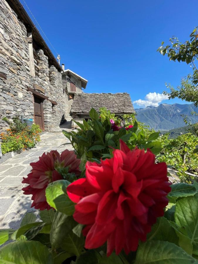 Casa Vacanze La Carbunera Βίλα Domodossola Εξωτερικό φωτογραφία
